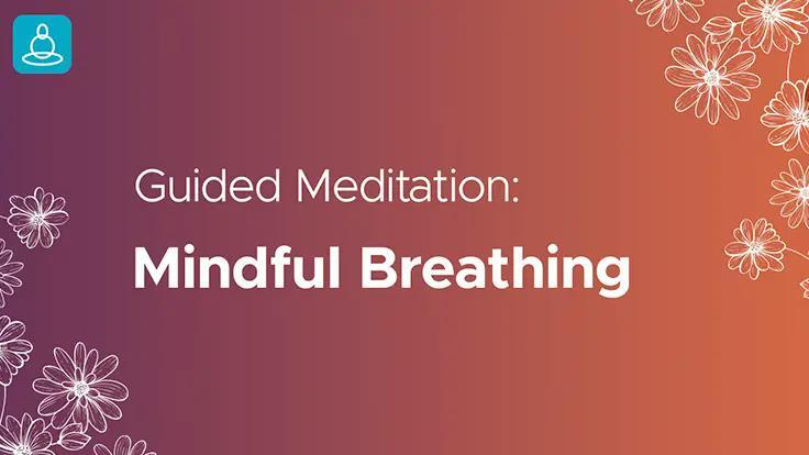 Mindful Breathing